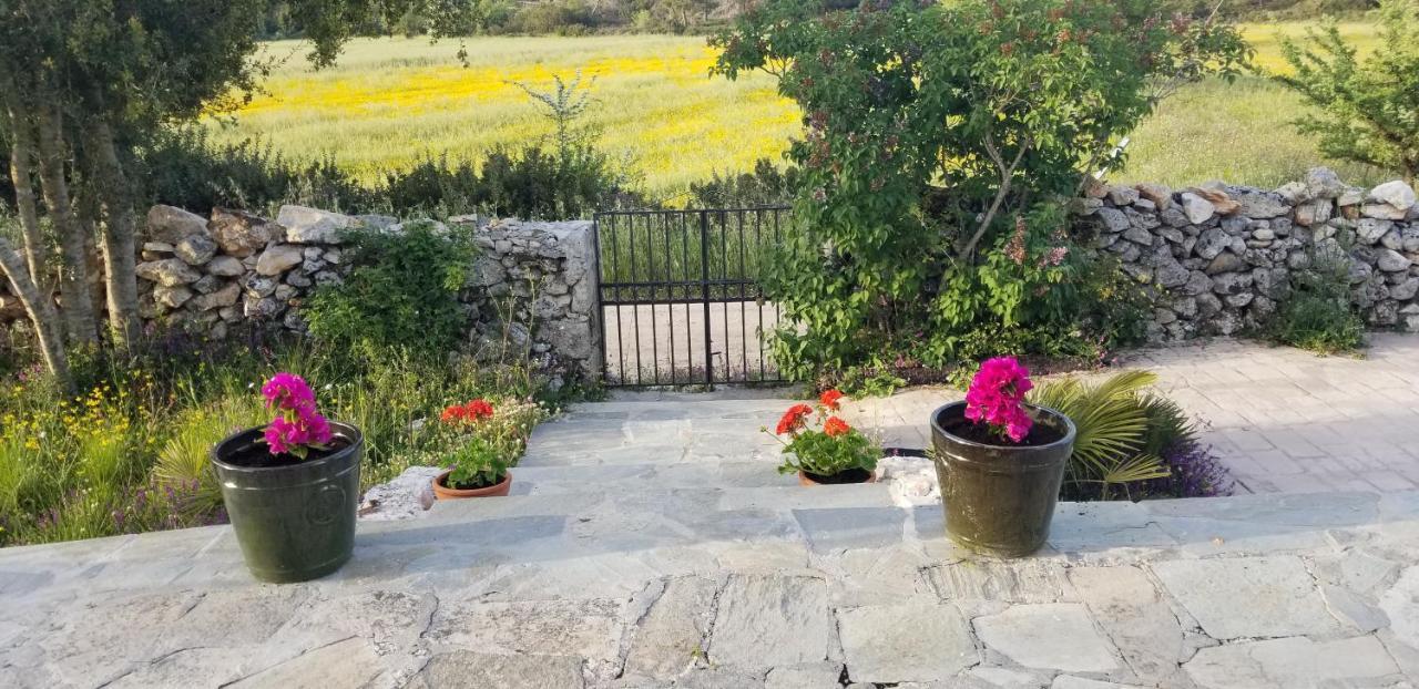 Apartmán Dorinda Agia Marina  Exteriér fotografie